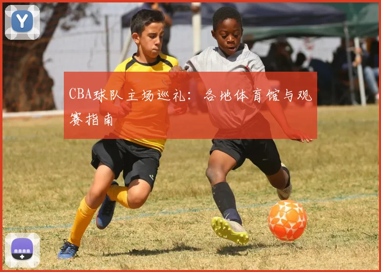 CBA球队主场巡礼：各地体育馆与观赛指南